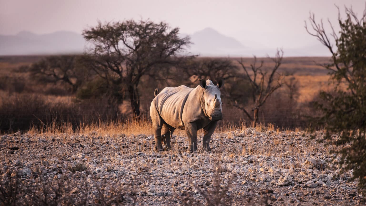 Enene Lodge (Sept 2024) 073_HR