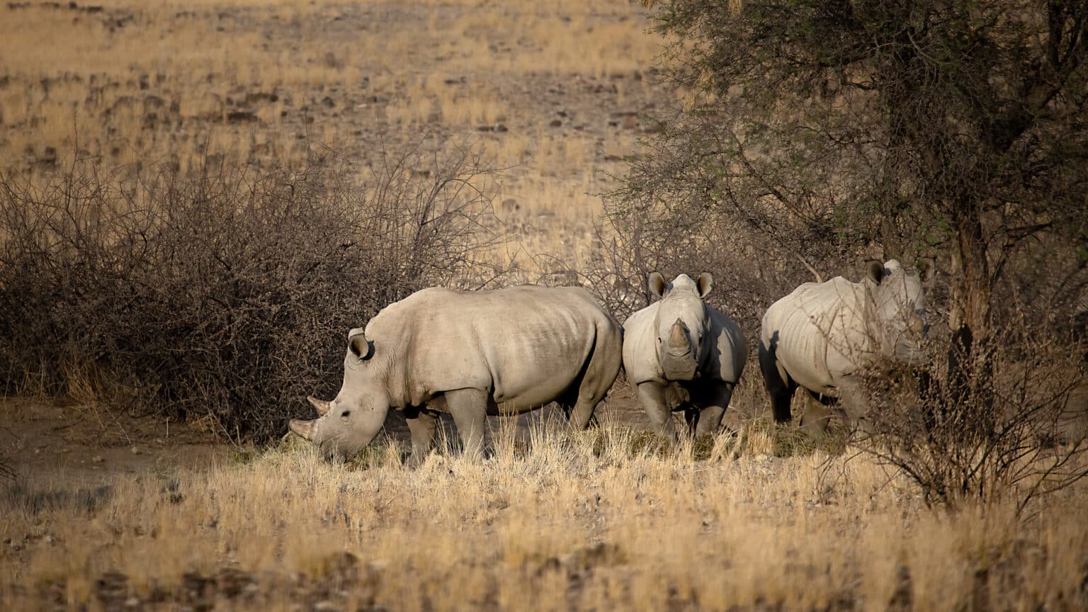 Enene Lodge (Sept 2024) 087_HR