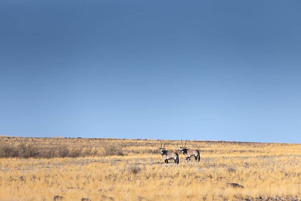 Enene Lodge (Sept 2024) 094_HR