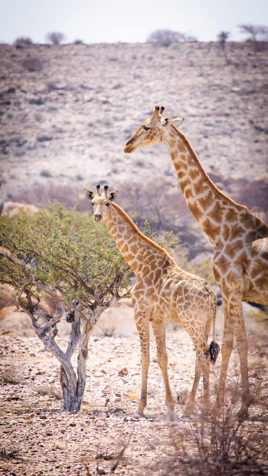 Enene Lodge (Sept 2024) 117_HR