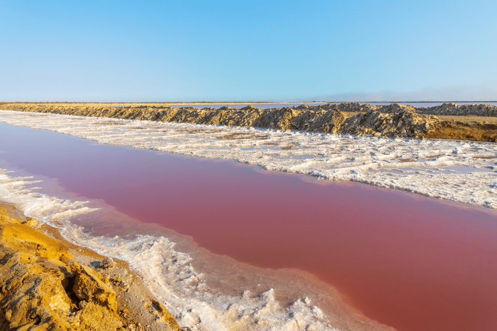 enene_ecolodge_walvis_bay